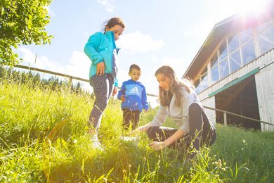 Zwei Kinder entdecken gemeinsam mit einer Kinderbetreuerin die Natur rund um das Familienhotel Der Ponyhof in der Steiermark.